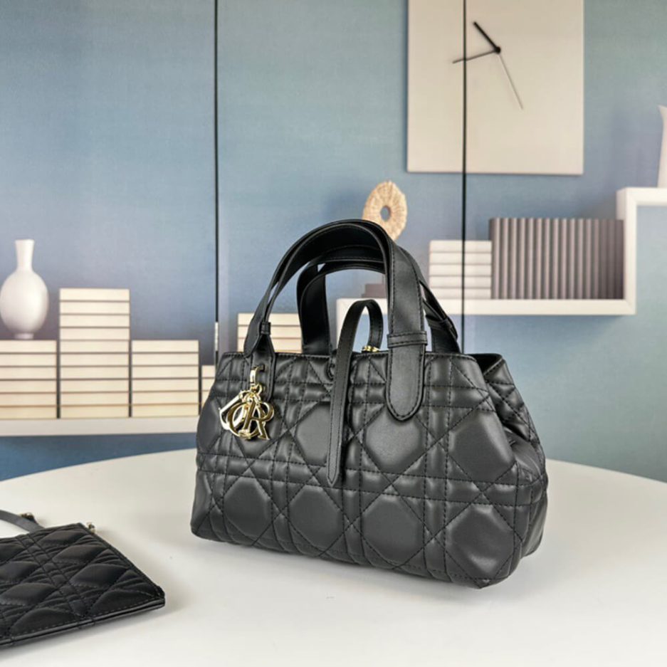 small D*or toujours bag