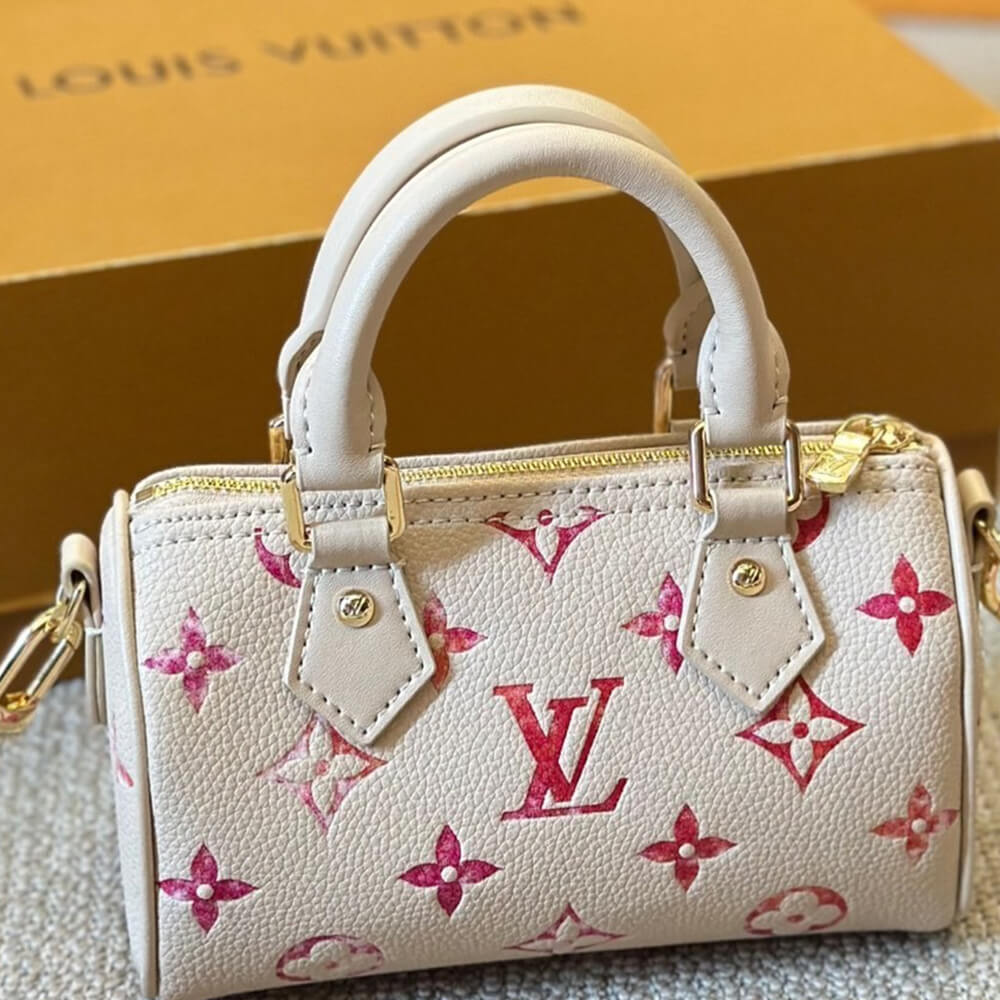 LV NANO SPEEDY BAG