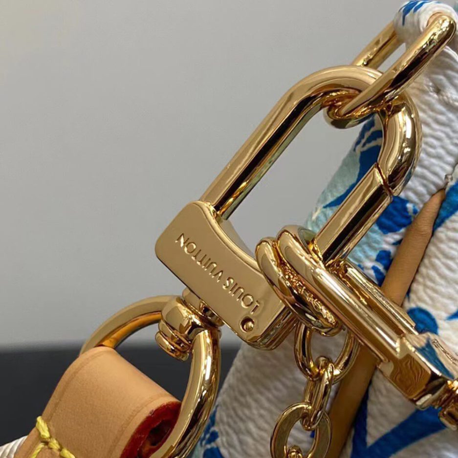 LV Multi Pochette Accessoires