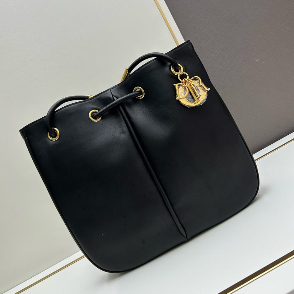 large D*or nolita bag