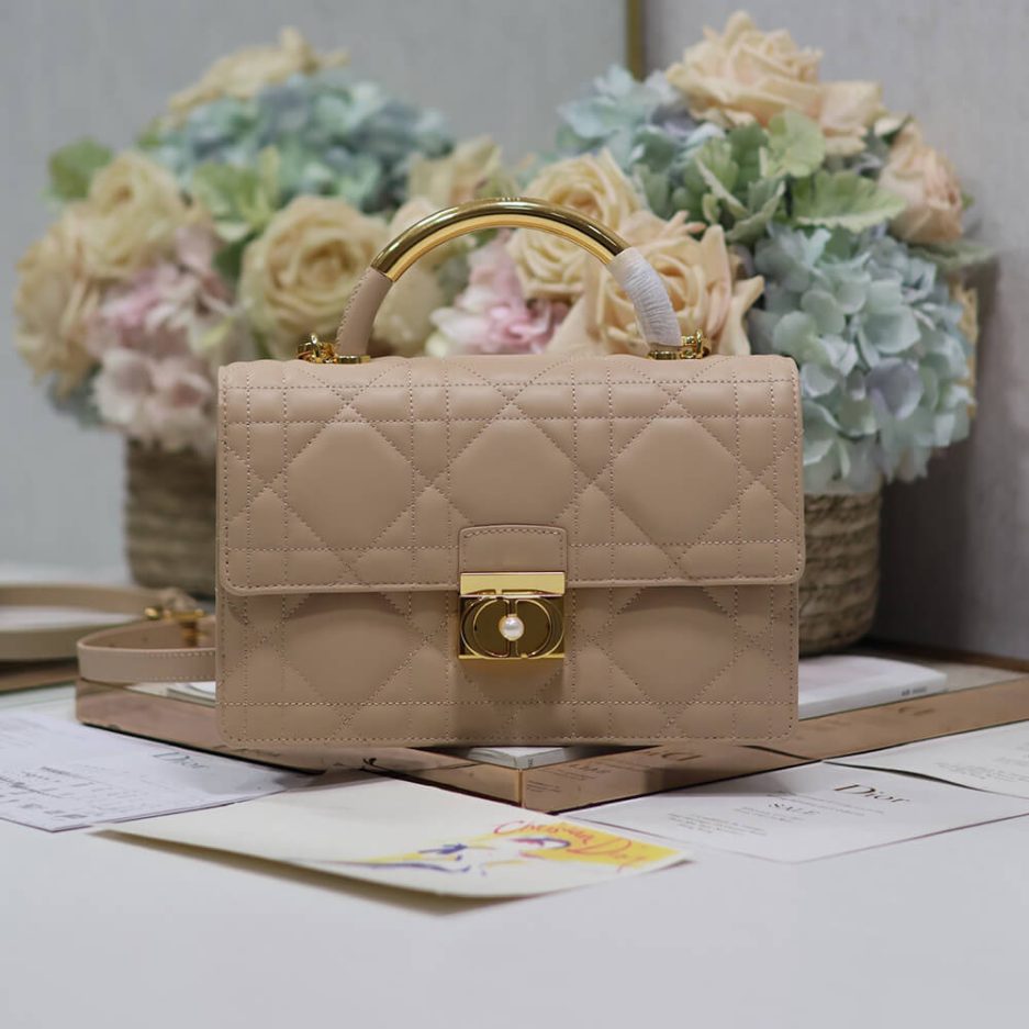 medium D*or ange bag