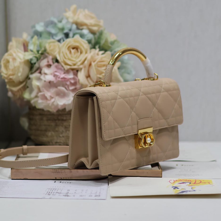 medium D*or ange bag